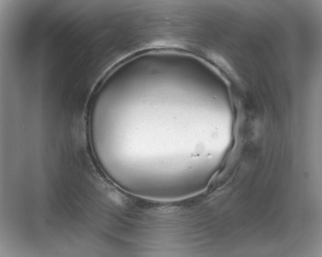 X0000068811268200605081110