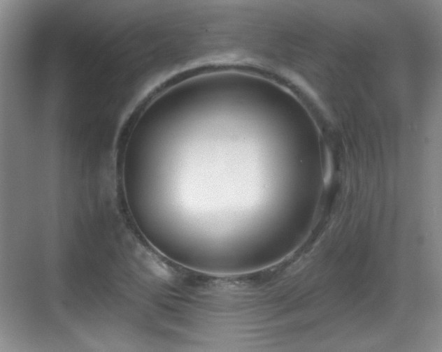 X0000068811270200605081110