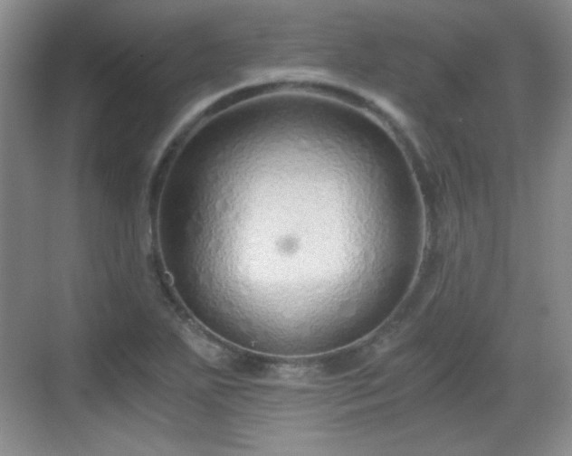 X0000068811271200605081110