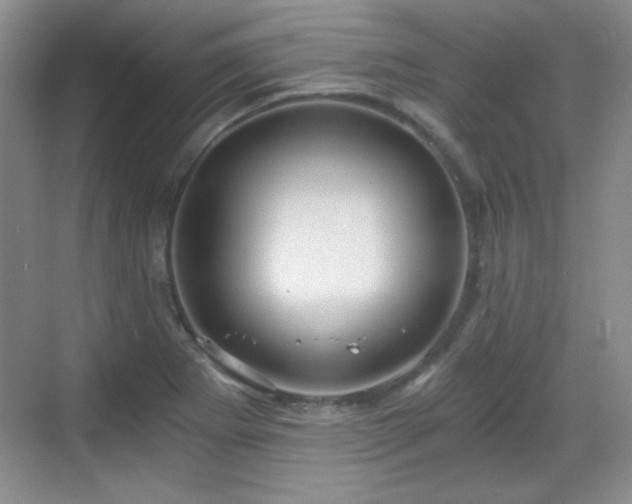 X0000068811273200605081110