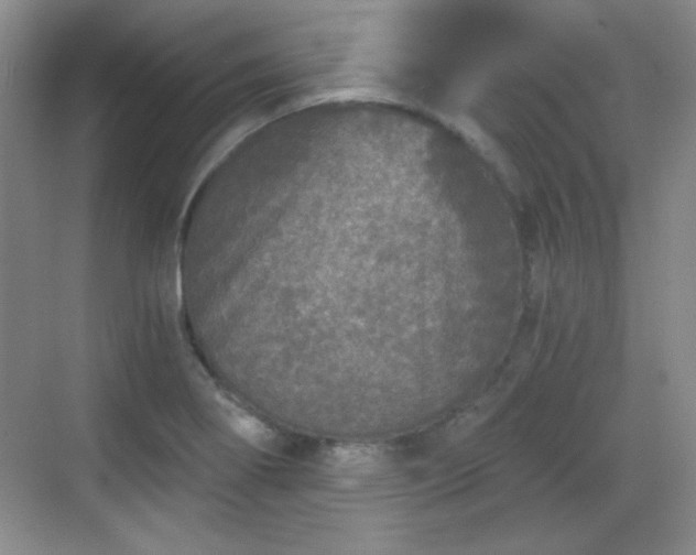 X0000068811274200605081110