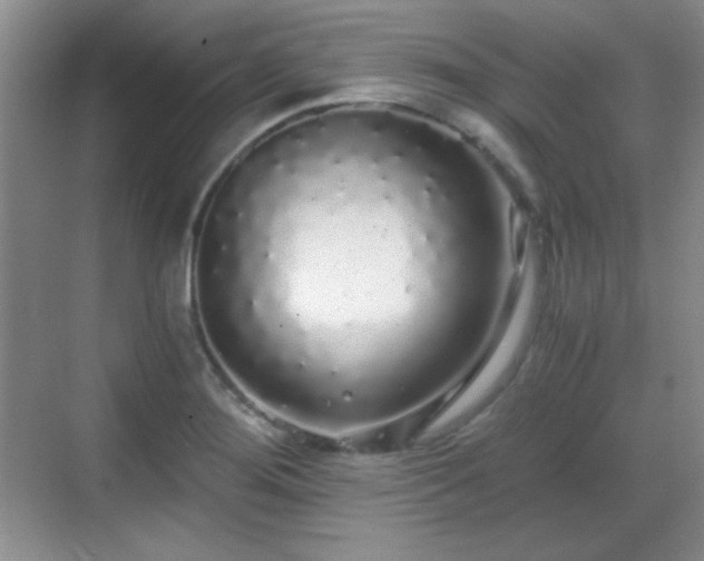 X0000068811276200605081110