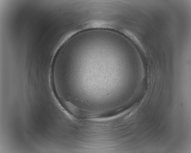 X0000068811277200605081110