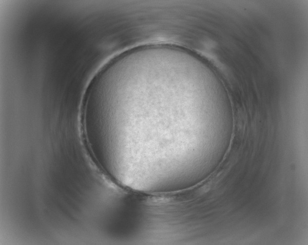 X0000068811278200605081110