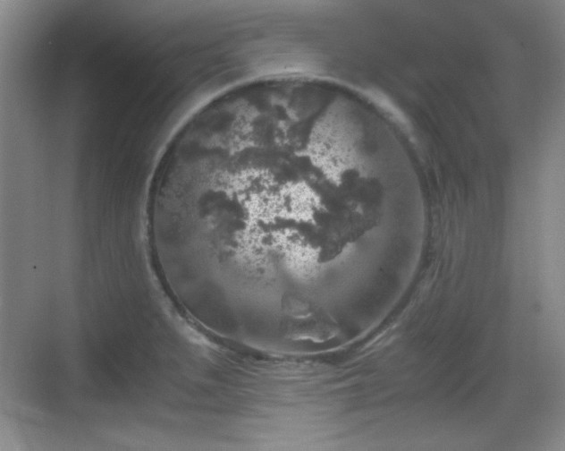 X0000068811279200605081110