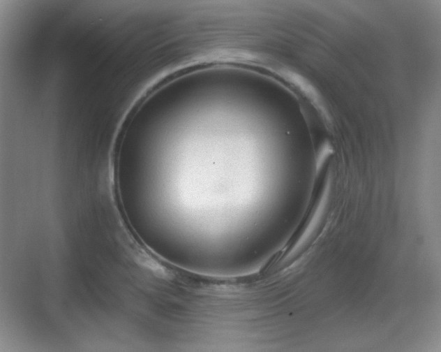 X0000068811280200605081110