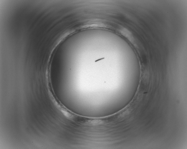 X0000068811282200605081110