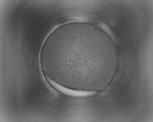 X0000068811283200605081110