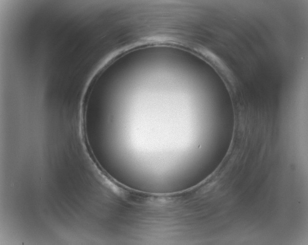 X0000068811286200605081110