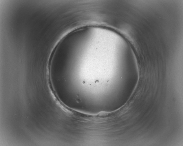 X0000068811287200605081110