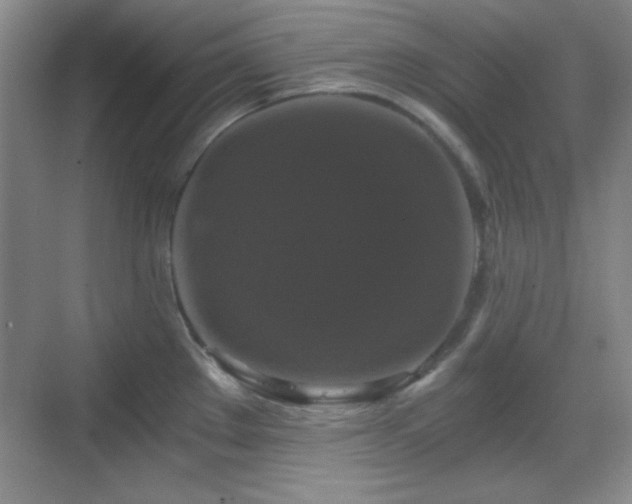 X0000068811289200605081110