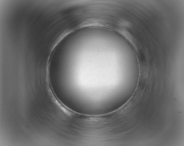 X0000068811290200605081110