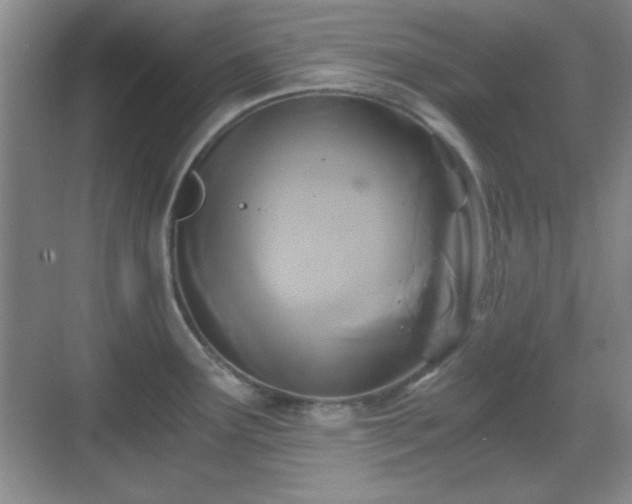 X0000068811291200605081110