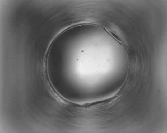 X0000068811292200605081110