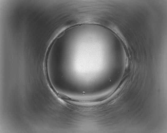 X0000068811293200605081110