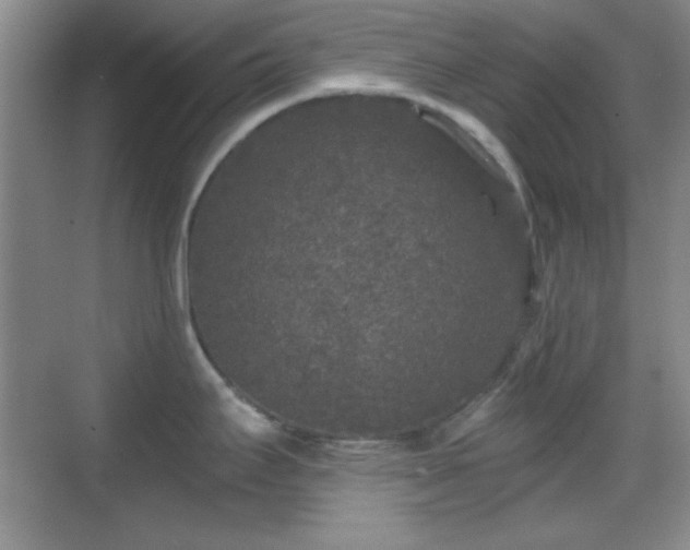 X0000068811295200605081110