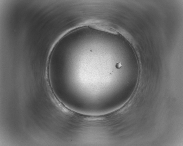 X0000068811296200605081110