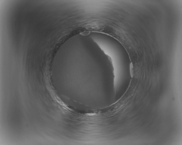 X0000068811297200605081109