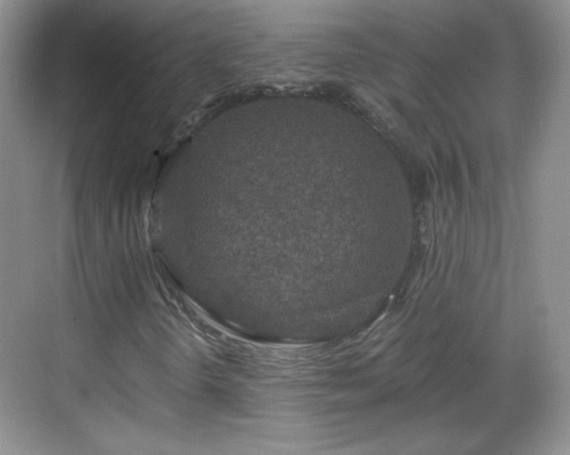 X0000068811298200605081109