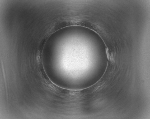 X0000068811299200605081109