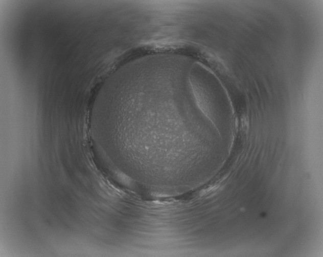 X0000068811300200605081109