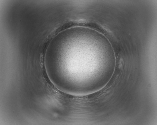 X0000068811301200605081109