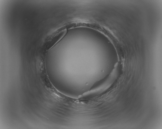 X0000068811303200605081109