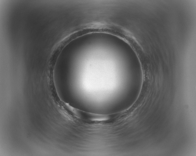 X0000068811304200605081109