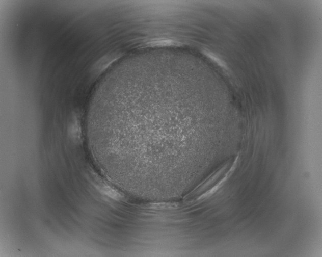 X0000068811305200605081109