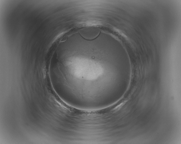 X0000068811306200605081109