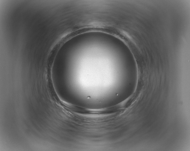 X0000068811307200605081109