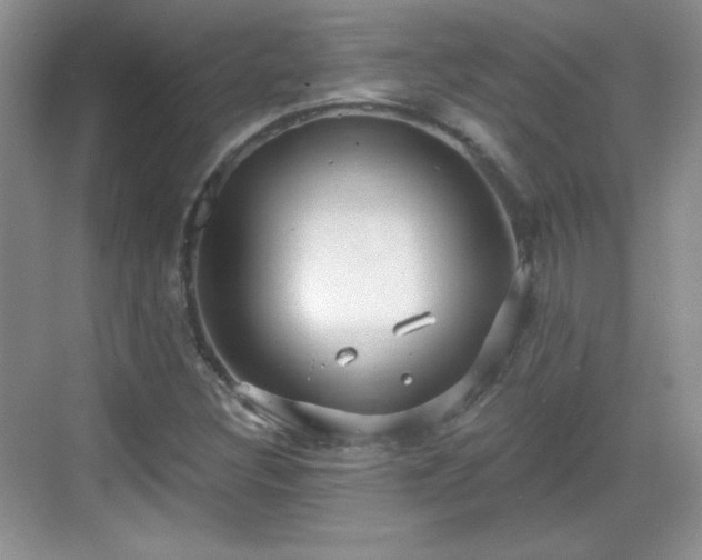 X0000068811308200605081109