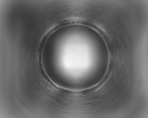 X0000068811309200605081109