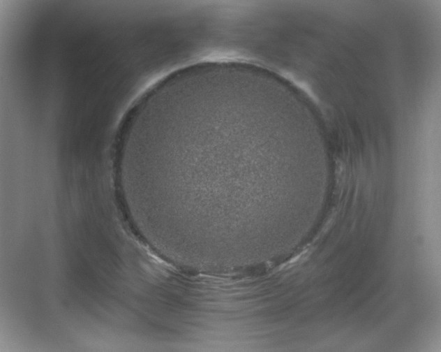 X0000068811311200605081109