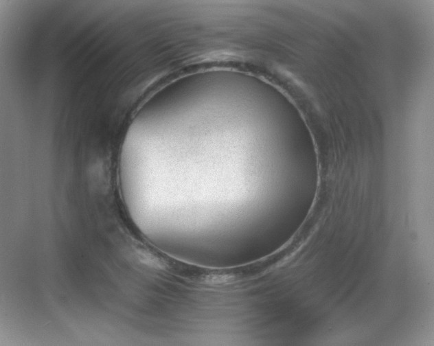 X0000068811313200605081109