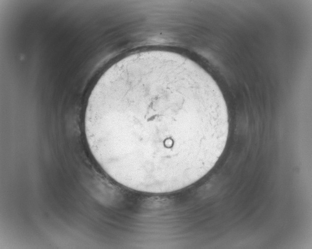 X0000068811314200605081109