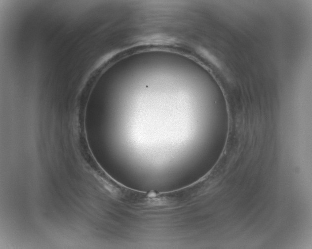 X0000068811315200605081109