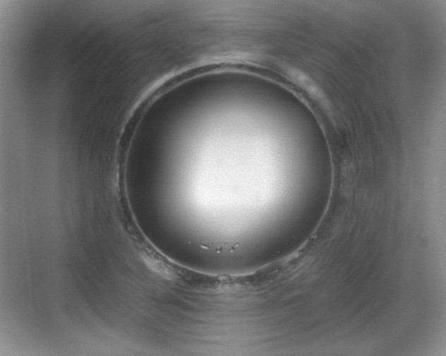 X0000068811316200605081109