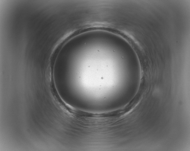 X0000068811317200605081109