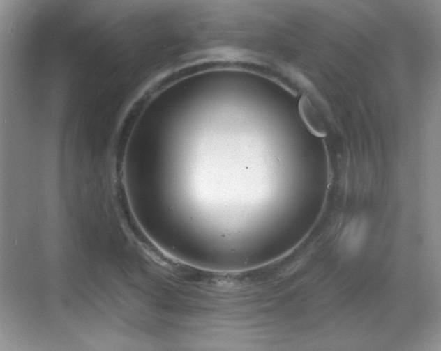 X0000068811318200605081109