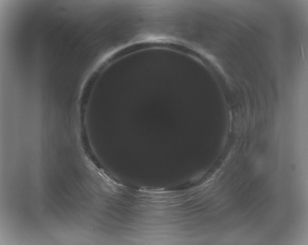 X0000068811319200605081109