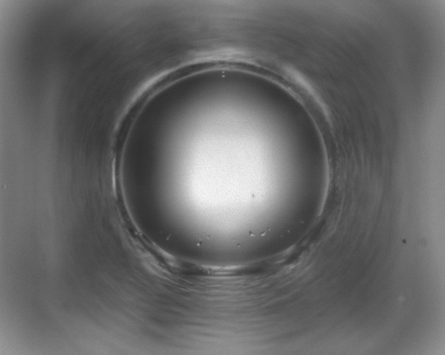 X0000068811320200605081109