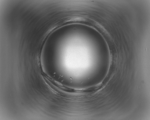 X0000068811321200605081109