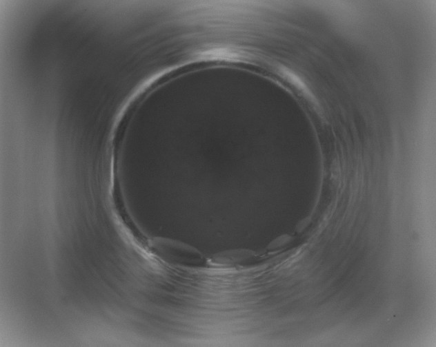 X0000068811323200605081109