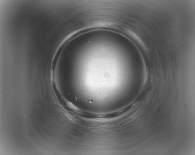 X0000068811324200605081109