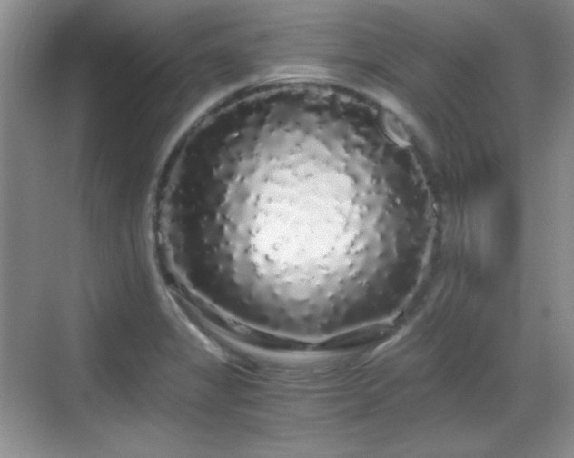 X0000068811325200605081109