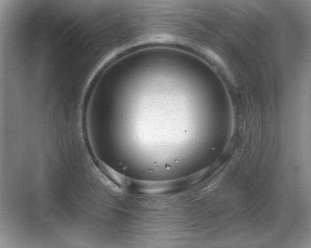 X0000068811326200605081109