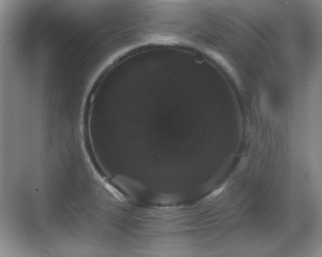 X0000068811327200605081109