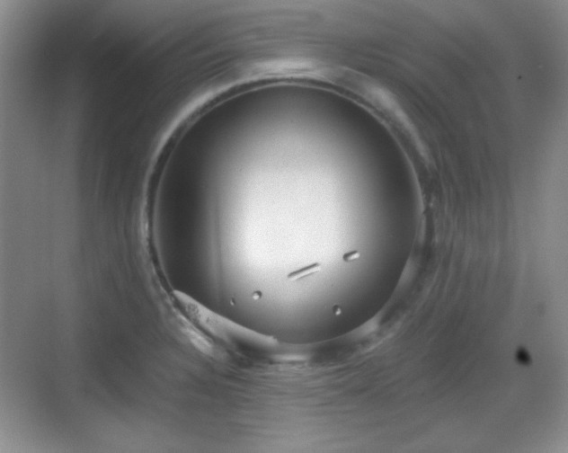 X0000068811328200605081109