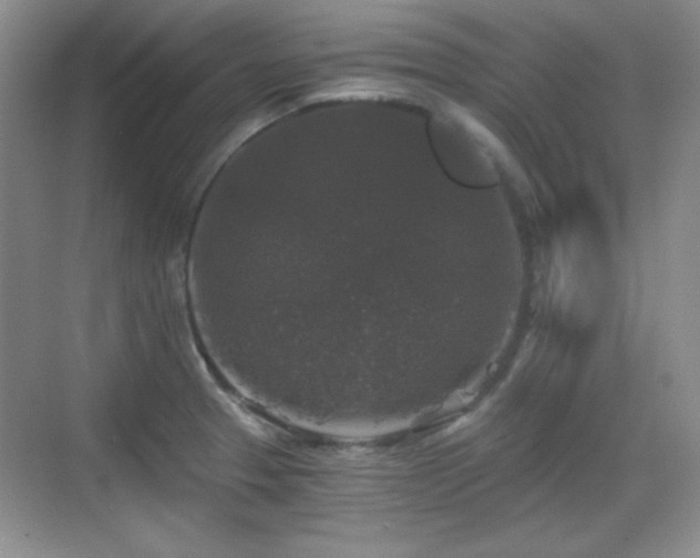 X0000068811329200605081109